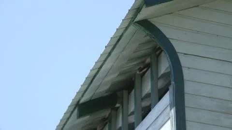 Pont couvert Stock Footage 21355430