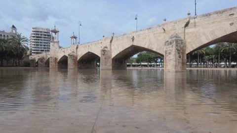 Pont de la Mar Bridge - Arch Structure Over Water. Stock Footage 328995780
