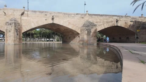 Pont de la Mar Bridge - People Walking Along Water. Stock Footage 328995781