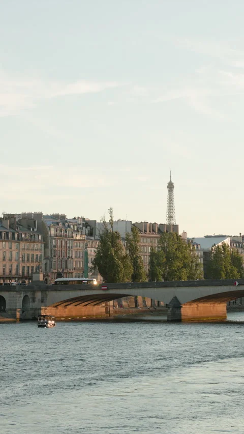 Pont du Carrousel and Eiffel Tower at Sunset, Paris - Vertical Stock Footage 339189979