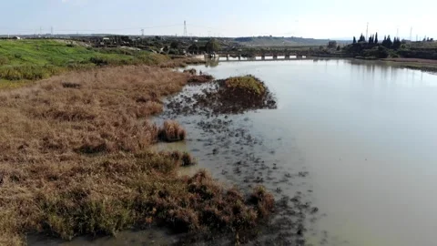 The Ponte Barca dam and Simeto river Video stock 269906222