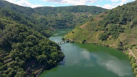 Ponte de Belesar With Sil River And Terraced Vineyards Stock Footage 251795521