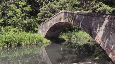 Ponte Stock Footage 281284351