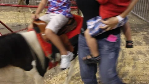 Pony Ride At The Circus #1 動画素材 7748085
