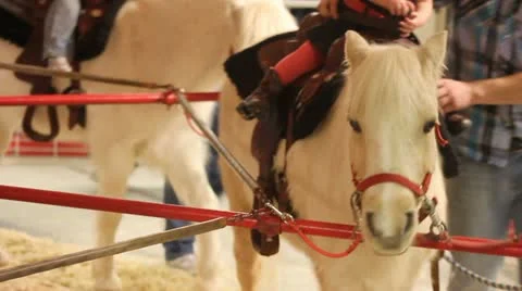 Pony ride Stock Footage 11628897