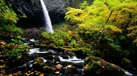 Pony Tail Falls Stock Footage 20025927