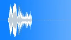 Pony Whinnying Sound Effect