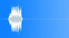 Pony Whinnying Sound Effect