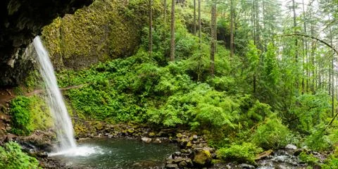 Ponytail Falls Stock Photos