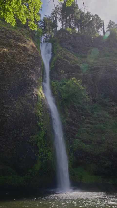 Ponytail Falls plunging down mossy basalt cliff in Oregon forest Stock Footage 345308333