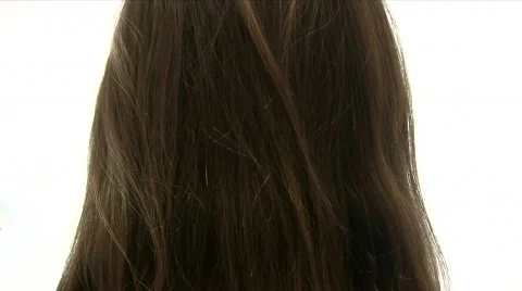 Ponytail Video stock 369179