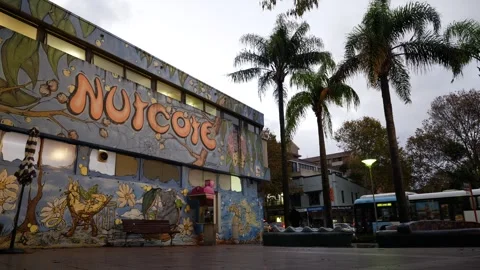 Ponytailed man passes Australian theme mural on Sydney building 6K Stock Footage 308445769