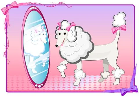 The poodle and the mirror Illustrazione stock