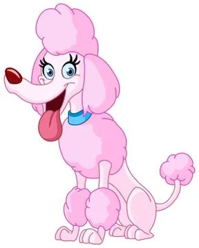 Poodle dog Illustrazione stock