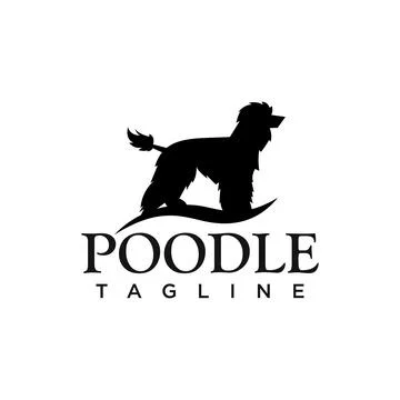 Poodle Stock Illustration