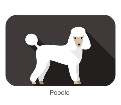 Poodle standing and watching, side view cartoon, vector illustration Stock Illustration