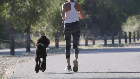 Poodle woman jogging summer trail Stock Footage 91753620