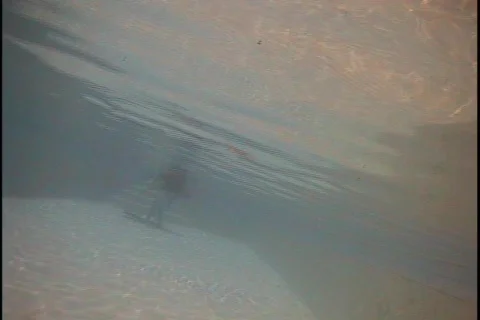 Pool 01 Stock-Footage 313990