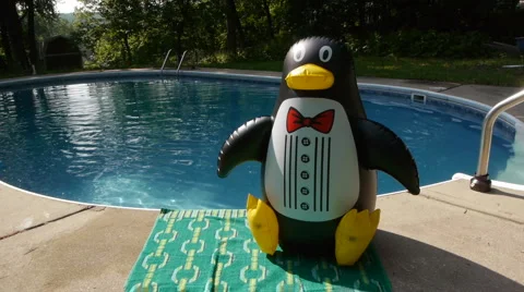 Pool-02 Video stock 5597337