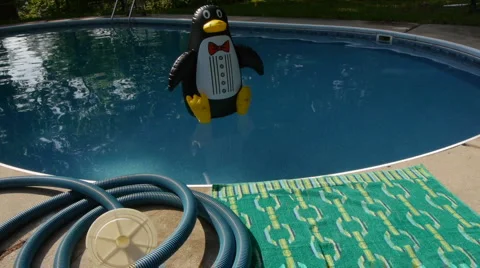 Pool-03 Video stock 5597024