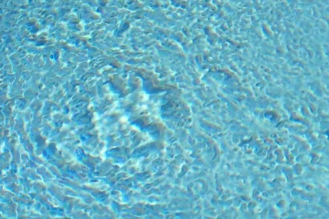 Pool 06 Stock Footage 110320