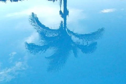 Pool 07 Stock Footage