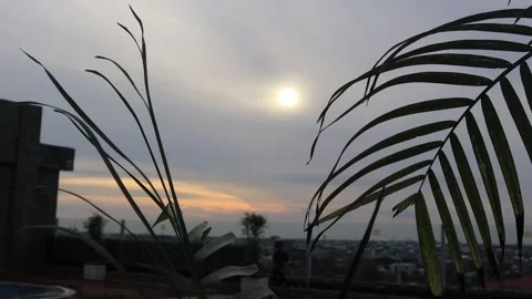 Pool (1) Video stock 276155449