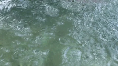 Pool (1) Stock-Footage 289452371