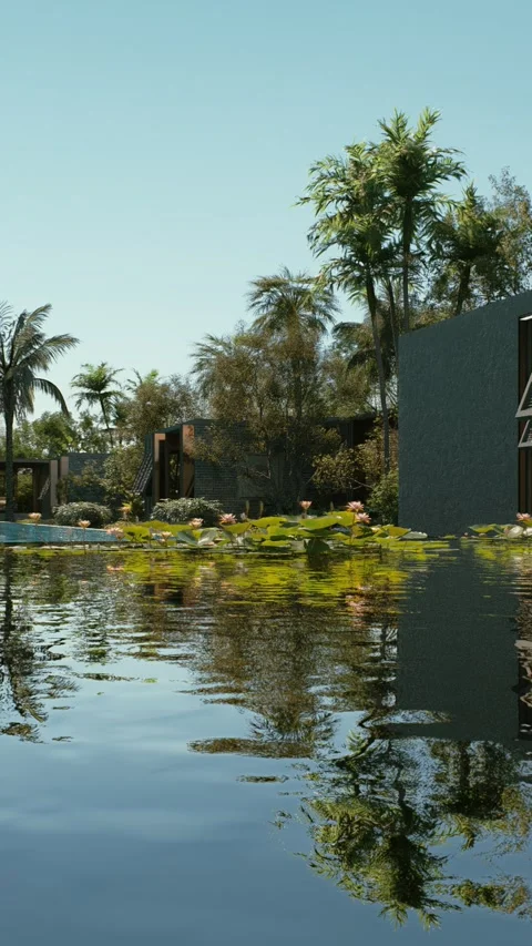 Pool 1 Stock Footage 317536862