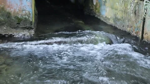 Pool (10) Stock-Footage 289453413