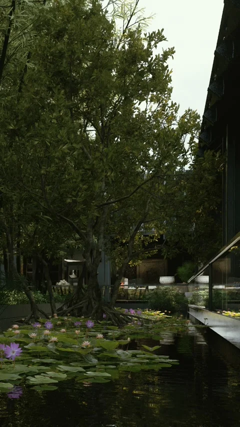 Pool 19 Stock Footage 317537396