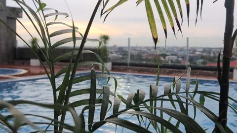 Pool (2) Stock-Footage 276155450