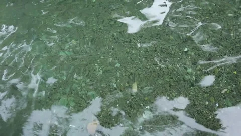 Pool (3) Stock Footage 289452911