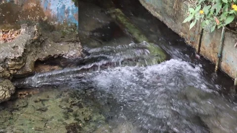 Pool (4) Video stock 289452923