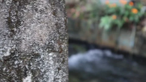 Pool (5) Stock Footage 289453246