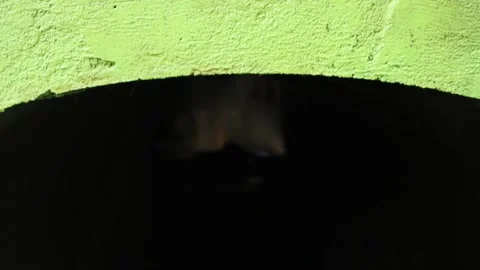 Pool (6) Stock Footage 289453270