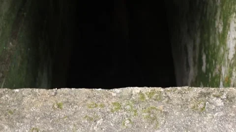 Pool (7) Stock Footage 289453299