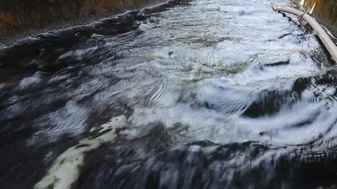 Pool (8) Stock Footage 289453185