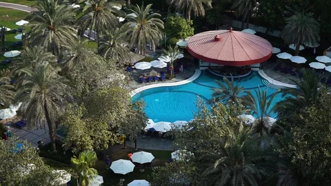 Pool among palm trees. view from above Vídeo Stock 107890705