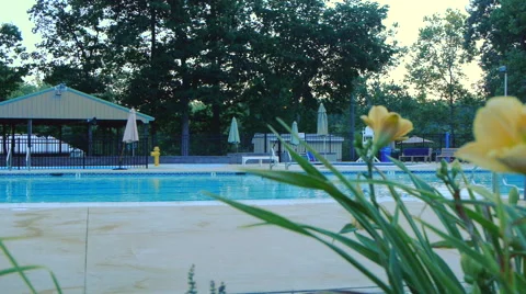 Pool and Flowers Stock Footage 41430779