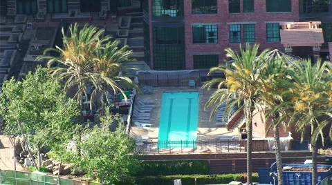 Pool and Palm Trees HD Stock Footage 480643