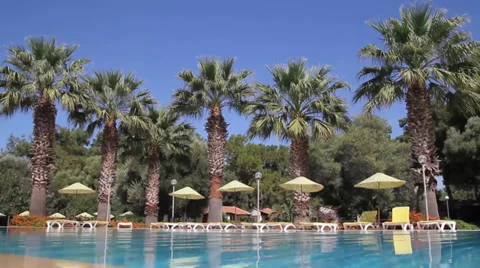 Pool and palm trees - HD Stock Footage 31348926