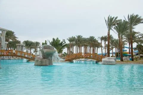 Pool and palms Stock Photos