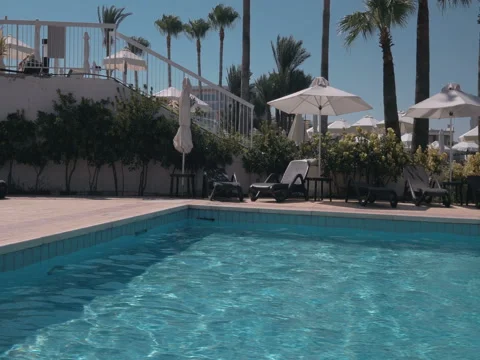 Pool and Palms from steadicam Vídeo Stock 80773306