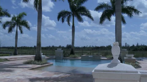 Pool and spa next to everglades 動画素材 27716625
