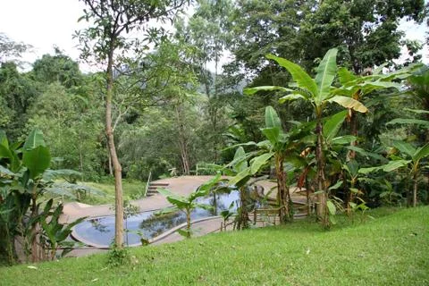 Pool and trees Stock Photos