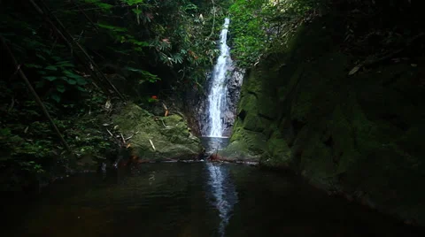 A pool and waterfalls in Rainforest Stock Footage 39715325