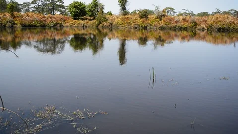 Pool Aondat Phukradung Stock Footage 115562952