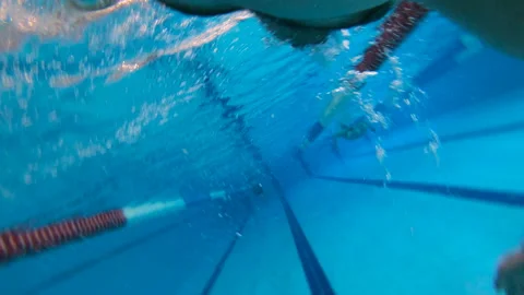 Pool . The athlete sails with style krol. Swimmer. The distance is 25 meters. Stock Footage 86157068