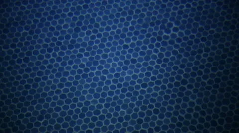 Pool Background Stock Footage 10728336